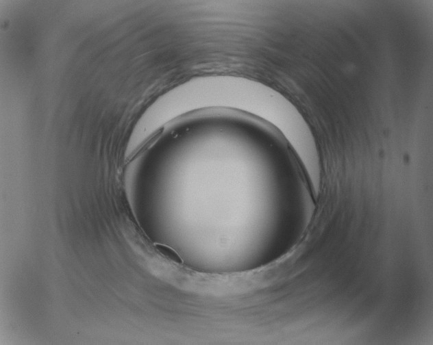 X0000055520045200509022135