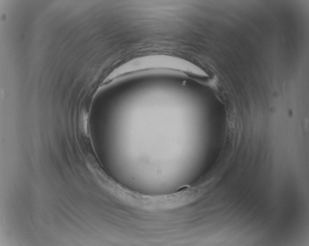 X0000055520046200509022135