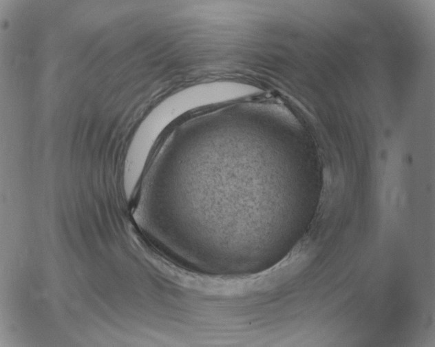 X0000055520048200509022135