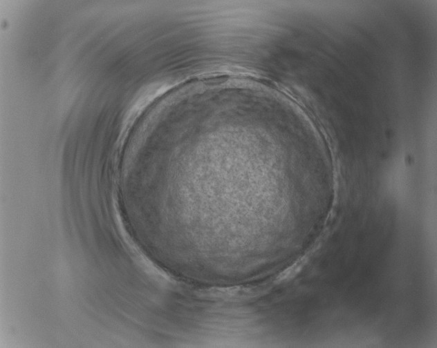 X0000055520049200509022134