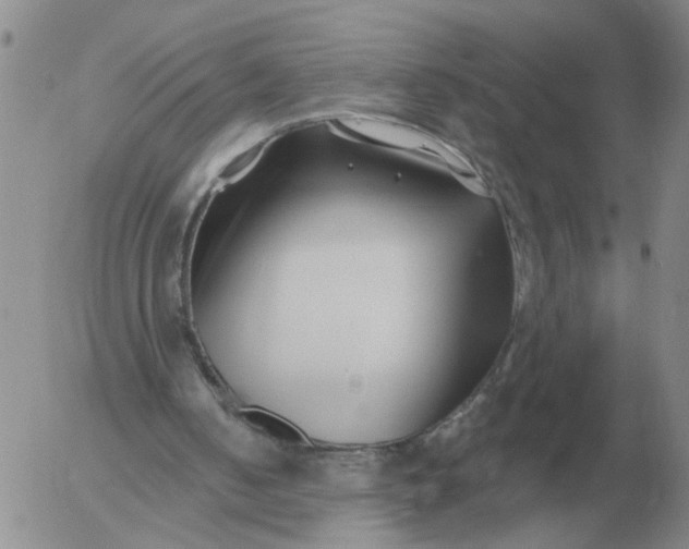 X0000055520050200509022134