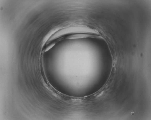 X0000055520052200509022134