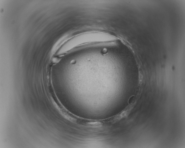 X0000055520053200509022134