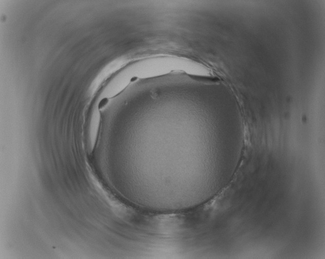 X0000055520054200509022134