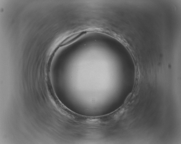 X0000055520055200509022134