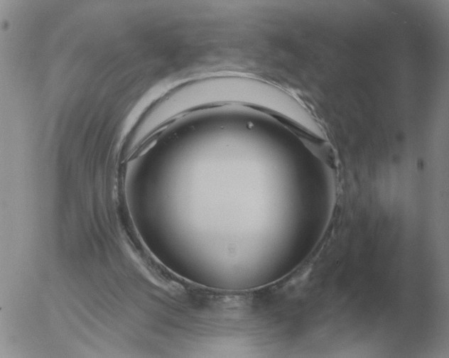 X0000055520056200509022134