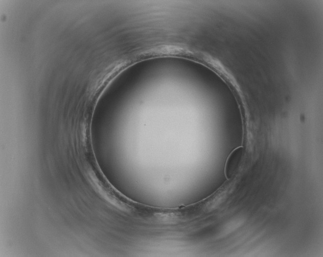 X0000055520057200509022134