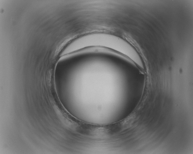 X0000055520058200509022134