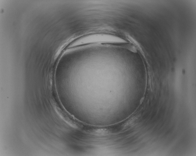 X0000055520059200509022134