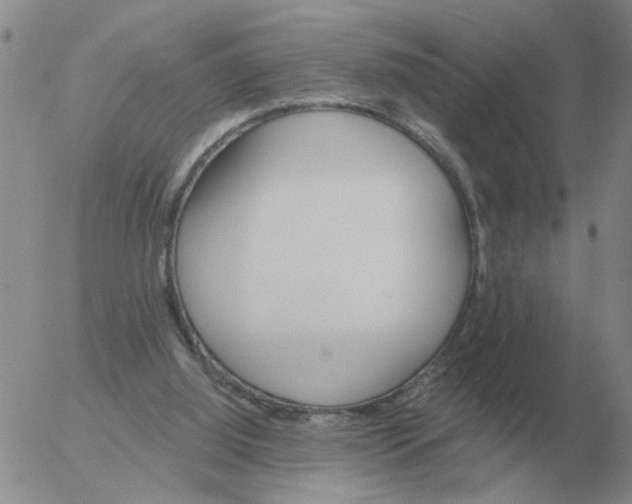 X0000055520060200509022134