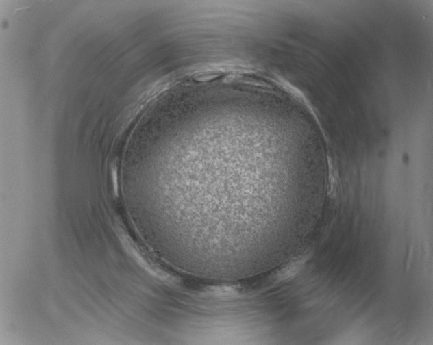 X0000055520061200509022134