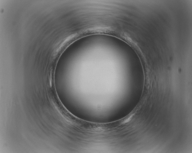 X0000055520062200509022134