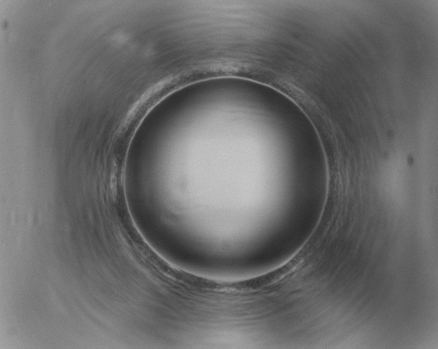 X0000055520064200509022134