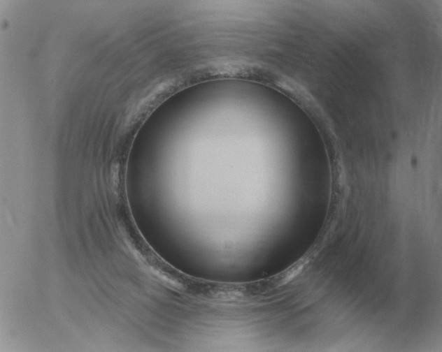 X0000055520066200509022134