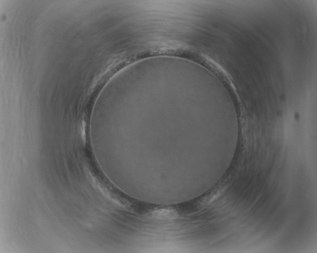 X0000055520067200509022134