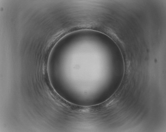 X0000055520068200509022134