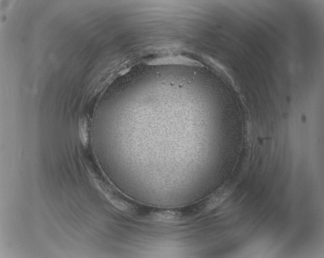 X0000055520069200509022134