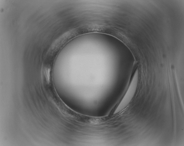 X0000055520070200509022134