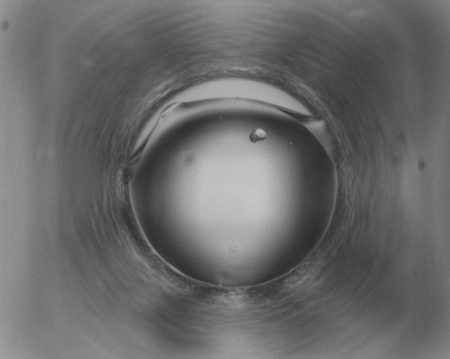 X0000055520071200509022134