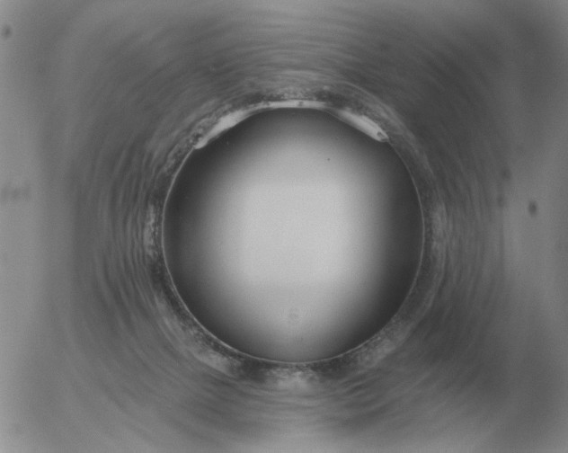 X0000055520073200509022134