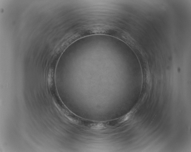 X0000055520074200509022134