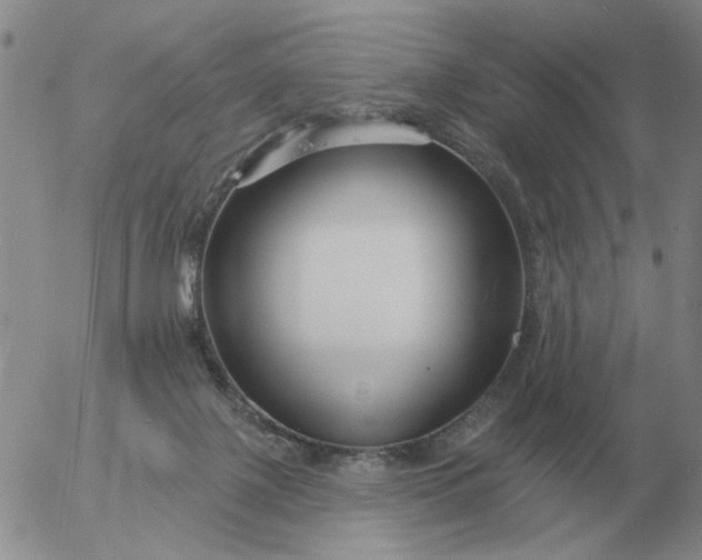 X0000055520075200509022134