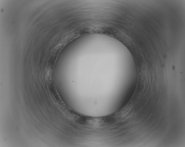 X0000055520079200509022134