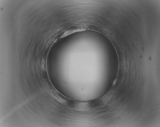 X0000055520081200509022134