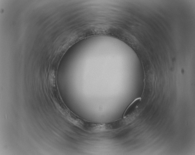 X0000055520083200509022134