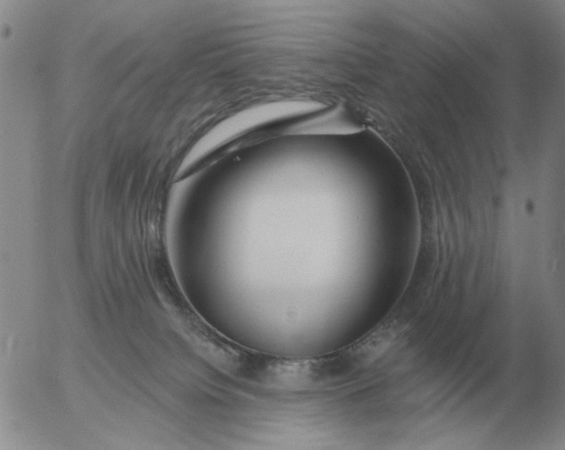 X0000055520084200509022134