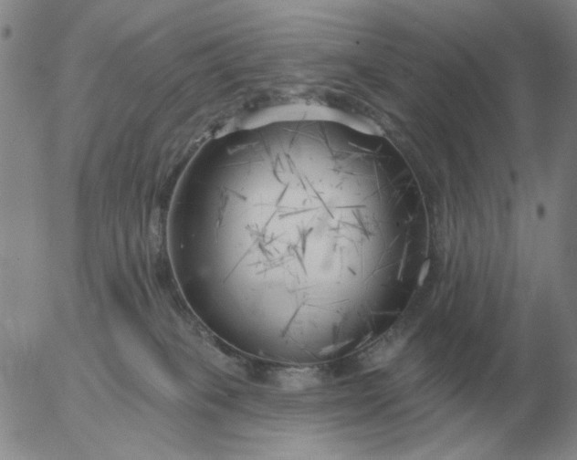 X0000055520085200509022134