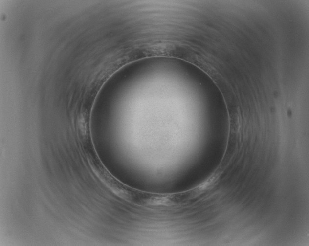 X0000055520086200509022135