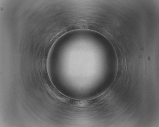 X0000055520088200509022135