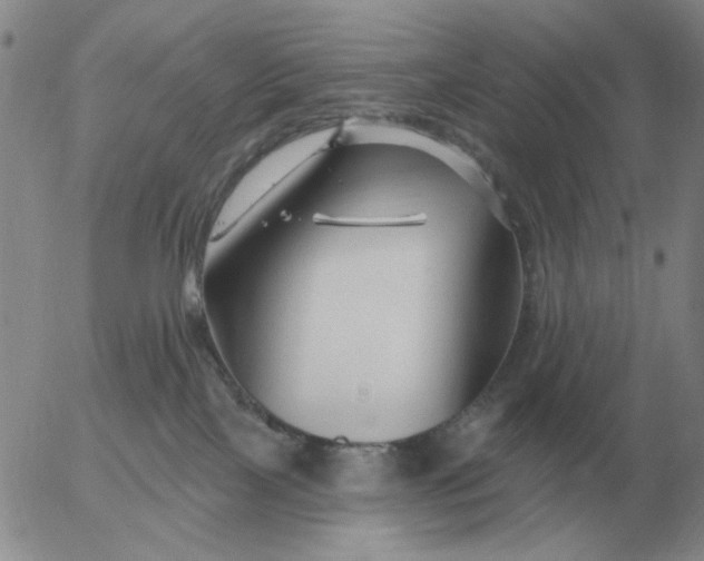 X0000055520089200509022135