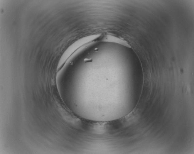 X0000055520090200509022135