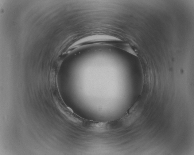 X0000055520092200509022135