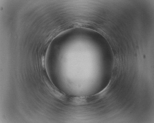 X0000055520094200509022135