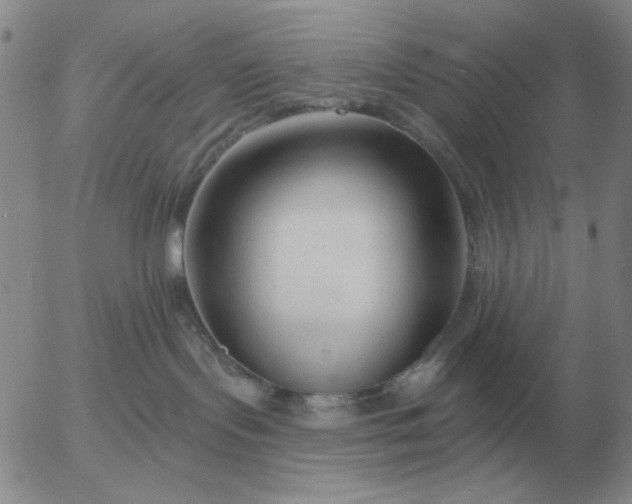 X0000055520095200509022135