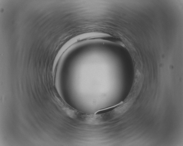 X0000055520096200509022135