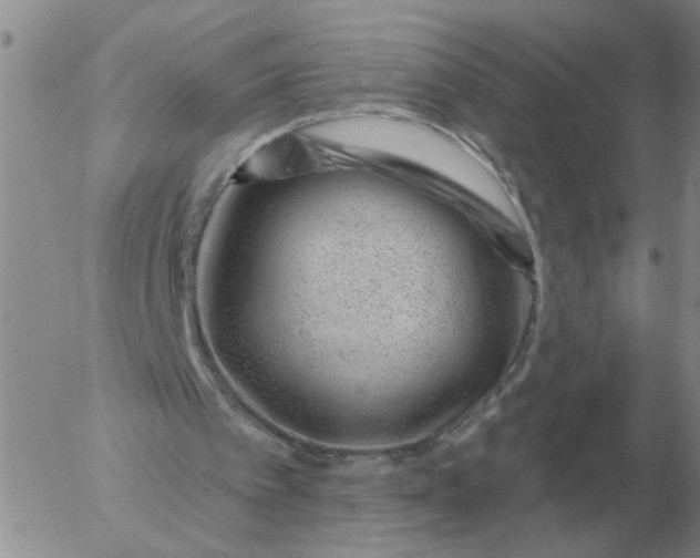 X0000055520097200509022134