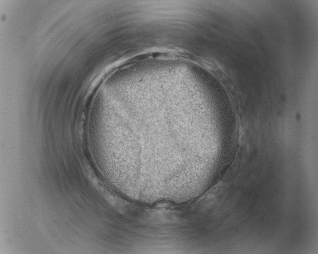 X0000055520098200509022134