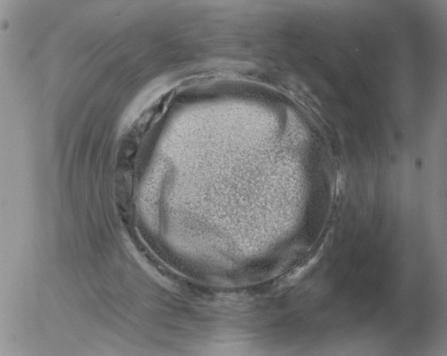 X0000055520101200509022134