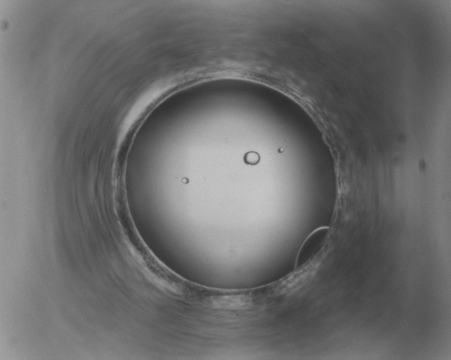 X0000055520102200509022134