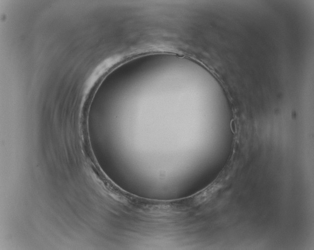 X0000055520104200509022134