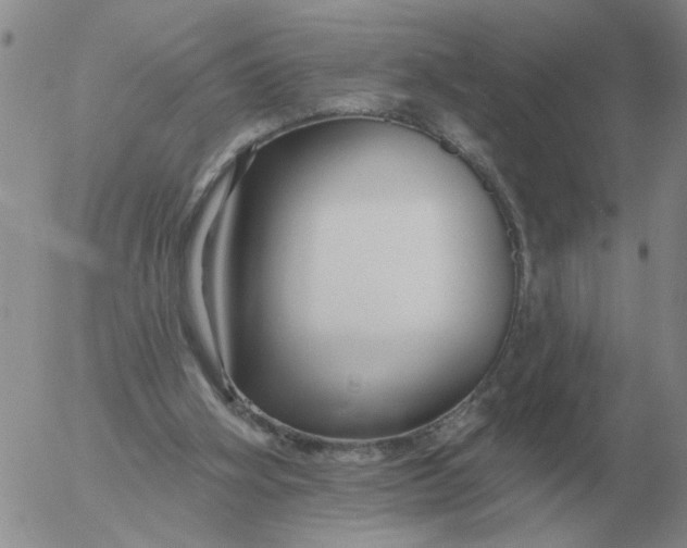 X0000055520106200509022134