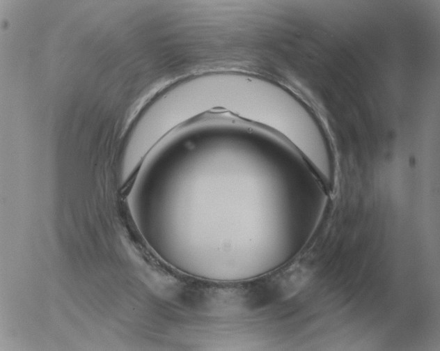 X0000055520107200509022134