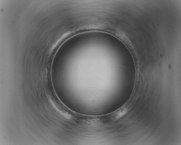 X0000055520108200509022134