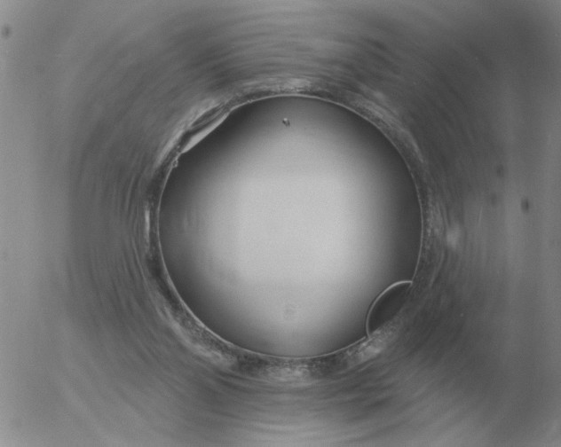 X0000055520110200509022134