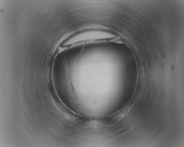 X0000055520111200509022134