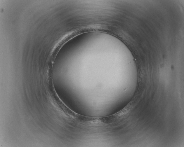 X0000055520112200509022134